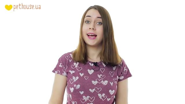 Корм Schesir для кошек - анализ продукта смотреть онлайн