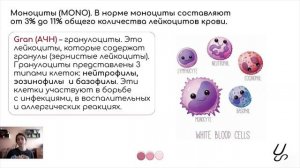 Гематология | Общий анализ крови