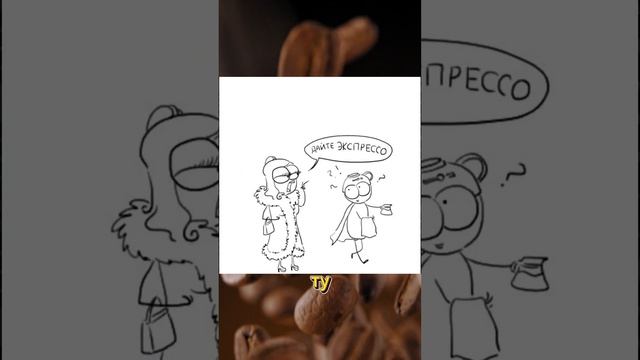 Успешный путь открытия кофейни: Интервью с владельцем кофейни Coffee First #кофейня #кофейнябизнес