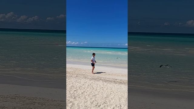 Красивейший Пляж Куба Кайо Коко. Куба за 57 тысяч рублей с перелетом. @tutsi-dieti смотреть онлайн