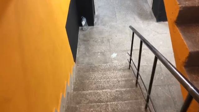 Ленинградская область, г. Сосновый Бор, ул. Ленинградская, д 10 смотреть онлайн