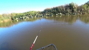 Поставил эту приманку и клюнул он. Рыбалка в Астрахани ловля на спиннинг осенью.