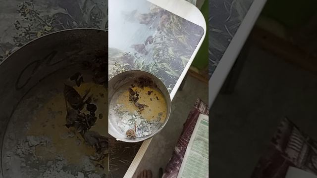 Шершни в вытяжке, проверял,высыпались смотреть онлайн