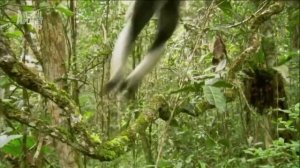 Славь, душа, Господа