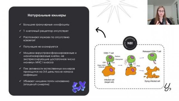 Иммунология | Воспаление 1 (первого) типа. Иммунный ответ