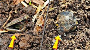 Нашел 2 старинных кошелька - Не пустых и что было внутри