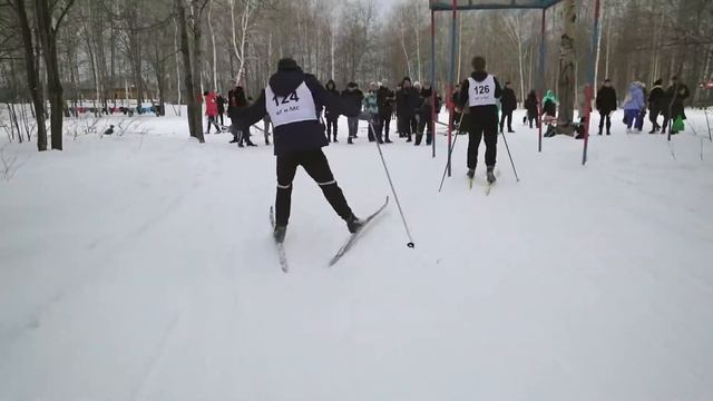 Полевой выход лыжные соревнования смотреть онлайн