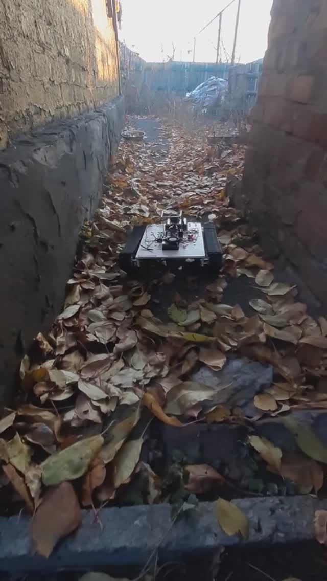 Робот и листья - 7 смотреть онлайн