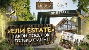“Ели Estate” — такой посёлок только один. Обзор флагманского коттеджного поселка от Группы MDI