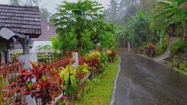 Сильный дождь в деревне на краю Индонезии. Ливень для сна и релакса. смотреть онлайн
