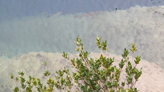 Горная речка с лазурной водой смотреть онлайн