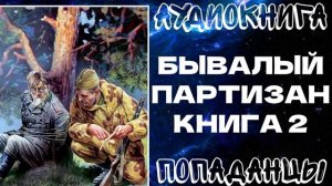 АУДИОКНИГА ПОПАДАНЦЫ: БЫВАЛЫЙ ПАРТИЗАН. КНИГА 2