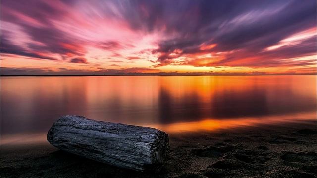 sunsetreverie смотреть онлайн