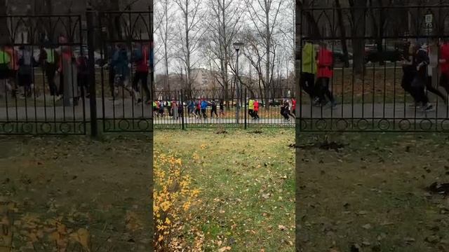 ПОРАССУЖДАЕМ О БЕГЕ 🏃♂️ смотреть онлайн