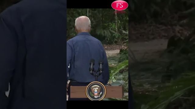Джо Байден ушел с трибуны в леса Амазонки после выступления на G20. смотреть онлайн