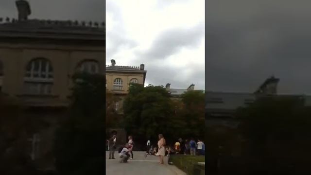 Quasi moto hard at work смотреть онлайн