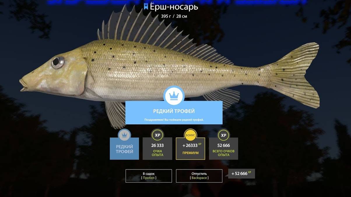 Русская Рыбалка 4 Ёрш Носарь смотреть онлайн