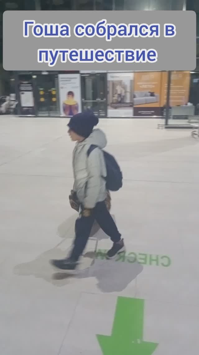 ГОША ОТПРАВИЛСЯ В ПУТЕШЕСТВИЕ. ЗАГАДКА - КУДА ПРИЕХАЛ ГОША? смотреть онлайн