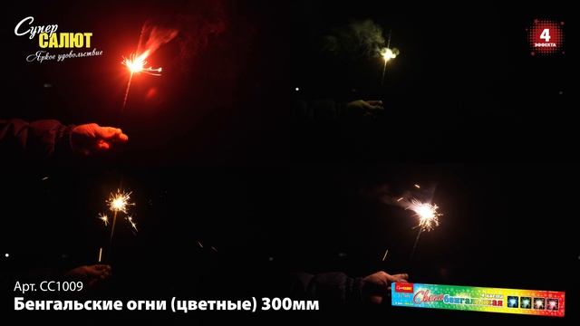 СС1009_2024 смотреть онлайн