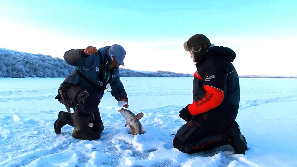 КРОВЬ НА ЛЬДУ! ЖЕРЛИЦЫ ГОРЯТ, РЫБАЛКА В ЗАПОЛЯРЬЕ смотреть онлайн