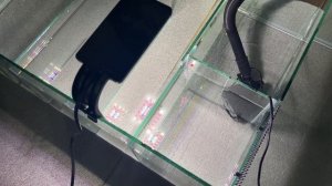 Морской аквариум 300 литров и самп. Проверяем переливы.