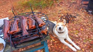 С Батей на Кордон. Две Недели в Тайге. Копчение Рыбы. Живём на Ближней Избе.ния