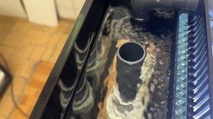 Первый запуск аквариума с нижним сампом. Краткое руководство.