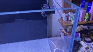 Морской аквариум с нижним сампом. Обзор после установки.