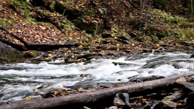 1174 Flowing stream and some rocks смотреть онлайн