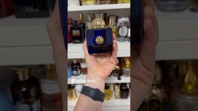 Ароматная неделя 11.11-17.11.2024 #парфюмерия #духи #рекомендации #рек #shorts #парфюм #ароматы смотреть онлайн