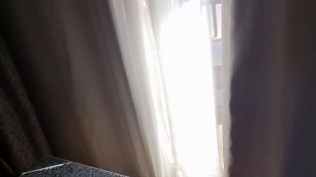 ПОЛНЫЙ ОБЗОР РАЗМЕЩЕНИЯ В ОТЕЛЕ PICKALBATROS VILLAGGIO RESORT - PORTOFINO MARSA ALAM, Территория. смотреть онлайн