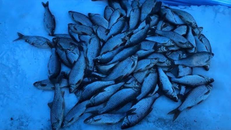 Ночная рыбалка в палатке | Ловля плотвы на Ладоге | Зимняя рыбалка 2019 смотреть онлайн