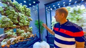 Почему Олег Зубков будет делать в Тайгане музей Оникса!