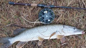 Карбоновая инерционная катушка