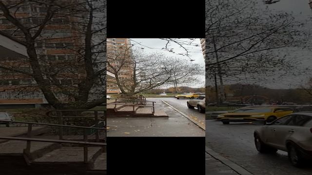 Одинцово🇷🇺