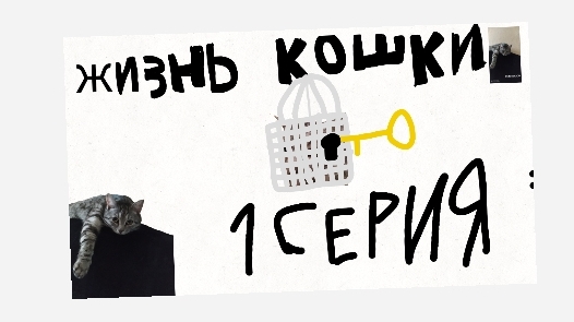 Жизнь кошки | серия 1| пора копироваться!