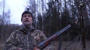 Охота на вальдшнепа . В одиночку на зверя