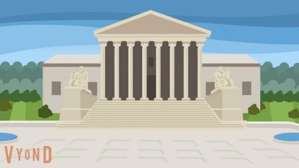 Constitutional law case