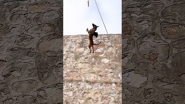 Подпишись на Нас для тебя это пустяк, а нам будет очень приятно смотреть онлайн