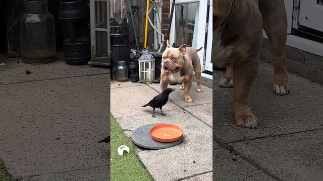 Подпишись на Нас для тебя это пустяк, а нам будет очень приятно смотреть онлайн