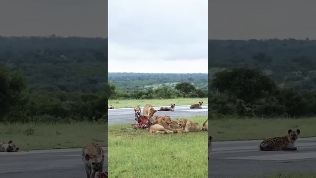 Подпишись на Нас для тебя это пустяк, а нам будет очень приятно смотреть онлайн