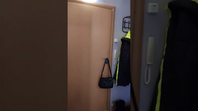 гашкова смотреть онлайн
