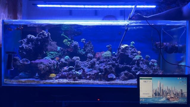 Aqua Illumination Blade Coral Grow. Обзор светильника. смотреть онлайн