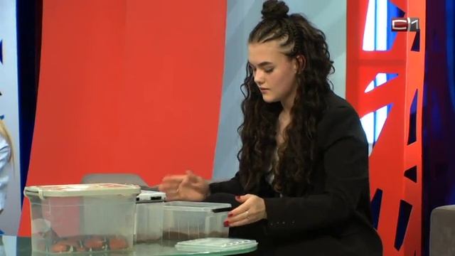 Встреча с писателем Петром Алешковским. смотреть онлайн