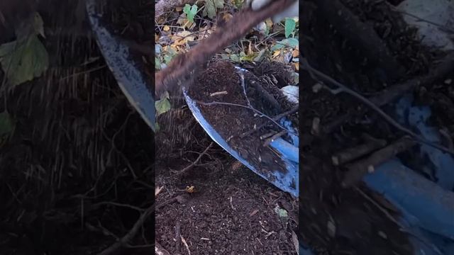 Копаю металл, находки радуют! #металлоискатель #копметаллолома #metaldetecting смотреть онлайн