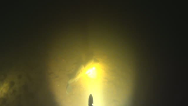 Подводная охота с Алексеем на речке (2.10.2024)