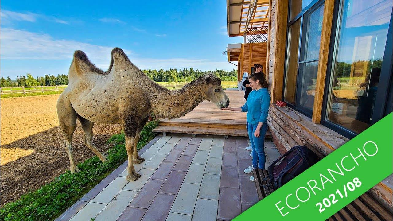 ECORANCHO 2021/08