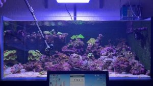 Светильник для морского аквариума A8s Coral Light с Aliexpress. Что доработать, PAR и приложение.