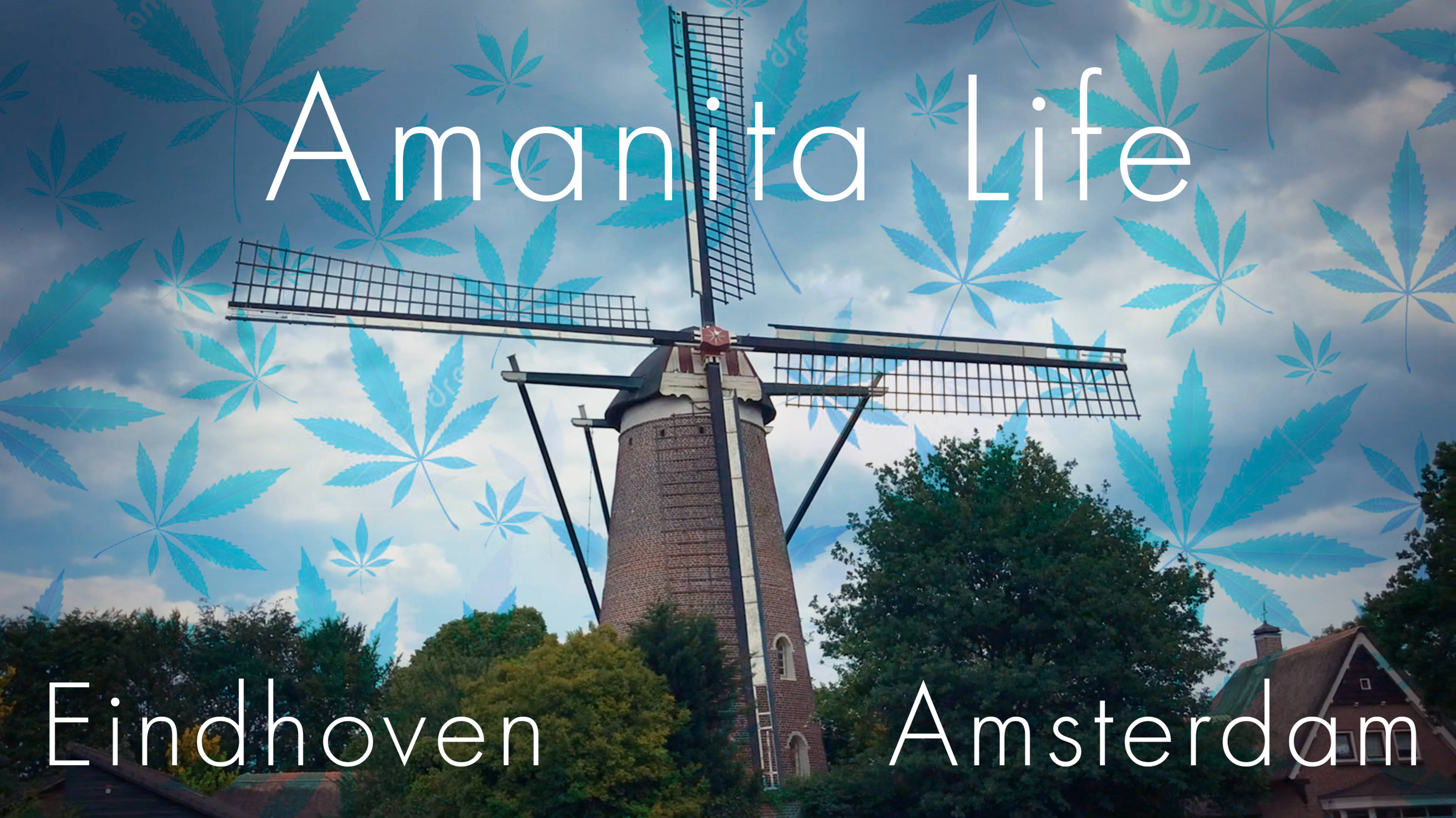 Amanita Life - Holland 2018 смотреть онлайн