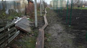 Виноград . Нюансы при устройстве шпалер